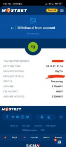 mini_mostbet-payment-se-blii-v-eske-republice-16_2.jpeg